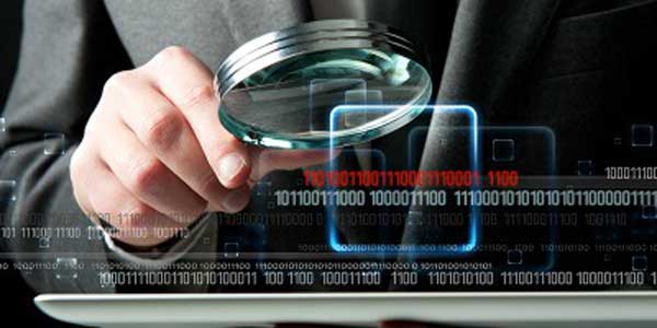 Level4 Armed and Unarmed Security Protection Investigations